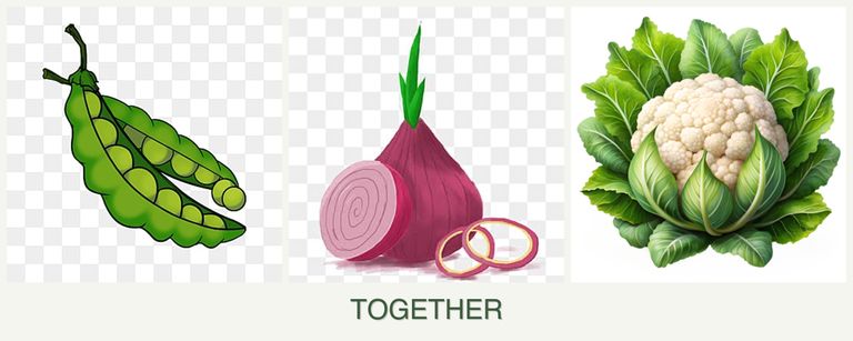 Can you plant peas, onions and cauliflower together?