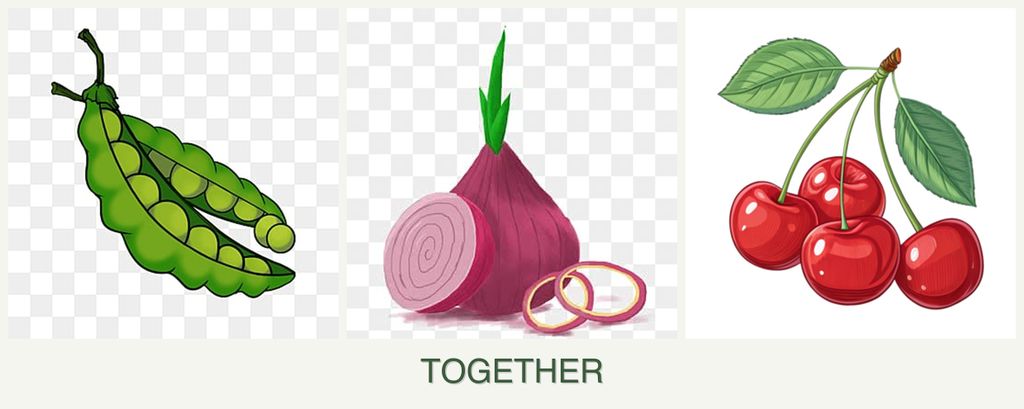 Can you plant peas, onions and cherries together?