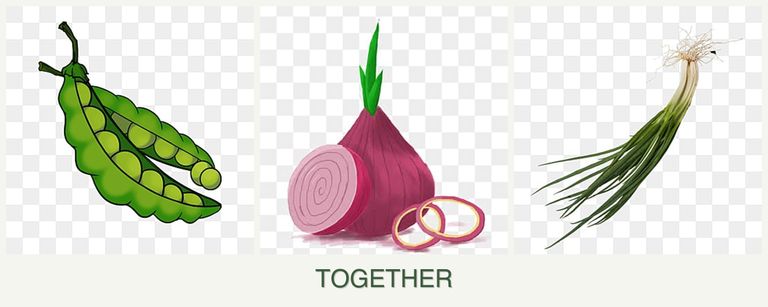Can you plant peas, onions and chives together?
