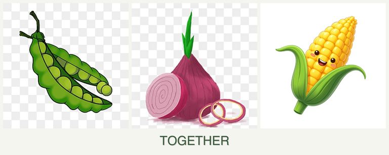 Can you plant peas, onions and corn together?
