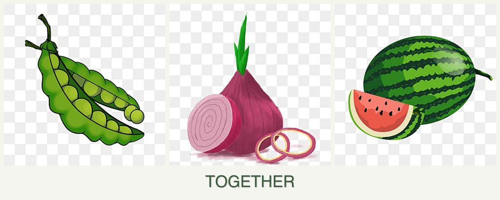 Can you plant peas, onions and melons together?