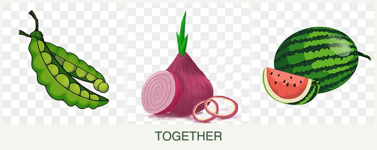 Can you plant peas, onions and melons together?