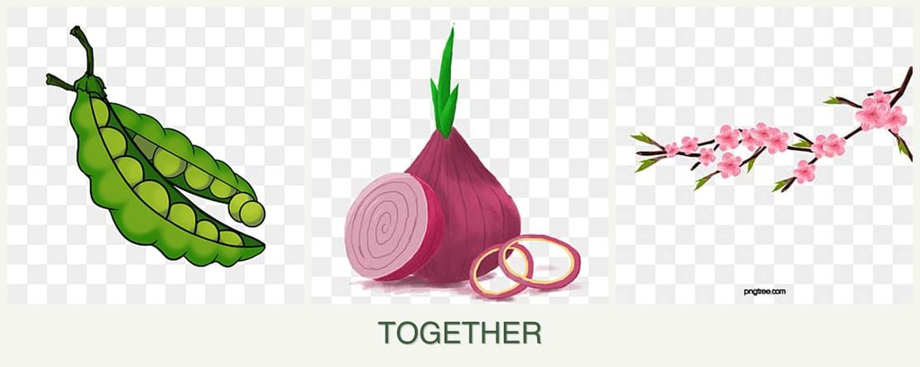 Can you plant peas, onions and peaches together?