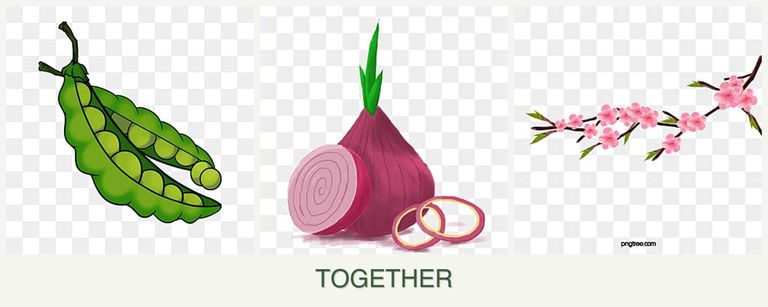Can you plant peas, onions and peaches together?
