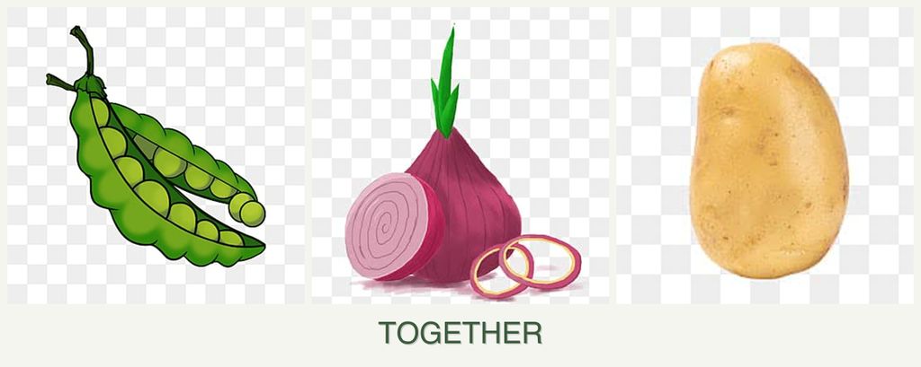 Can you plant peas, onions and potatoes together?