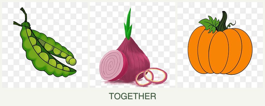 Can you plant peas, onions and pumpkin together?