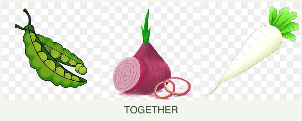 Can you plant peas, onions and radishes together?