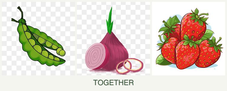 Can you plant peas, onions and strawberries together?