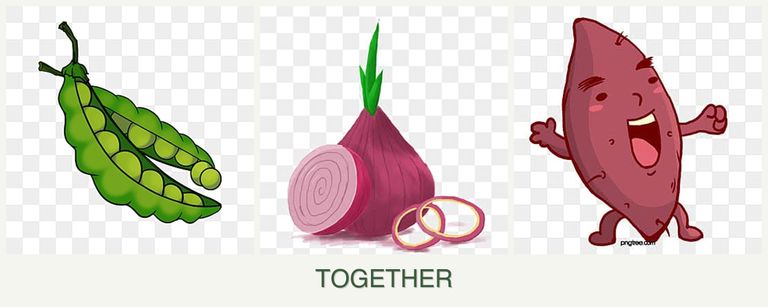 Can you plant peas, onions and sweet potatoes together?