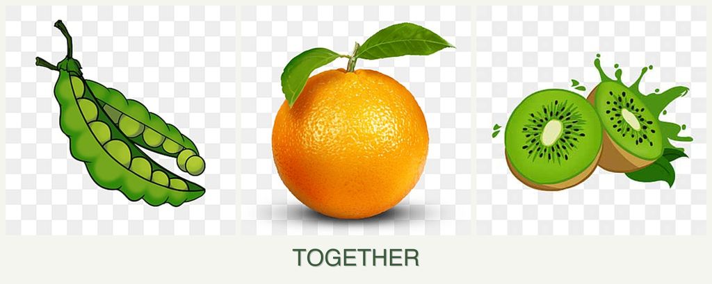 Can you plant peas, oranges and kiwi together?