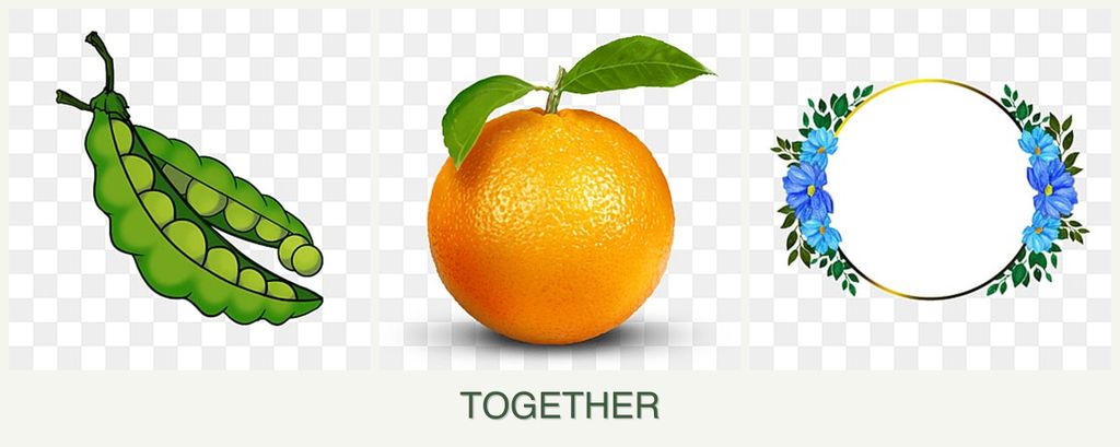 Can you plant peas, oranges and zinnias together?
