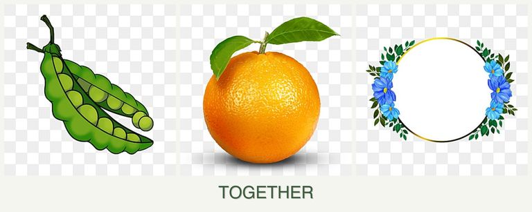 Can you plant peas, oranges and zinnias together?
