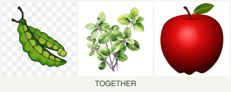 Can you plant peas, oregano and apples together?