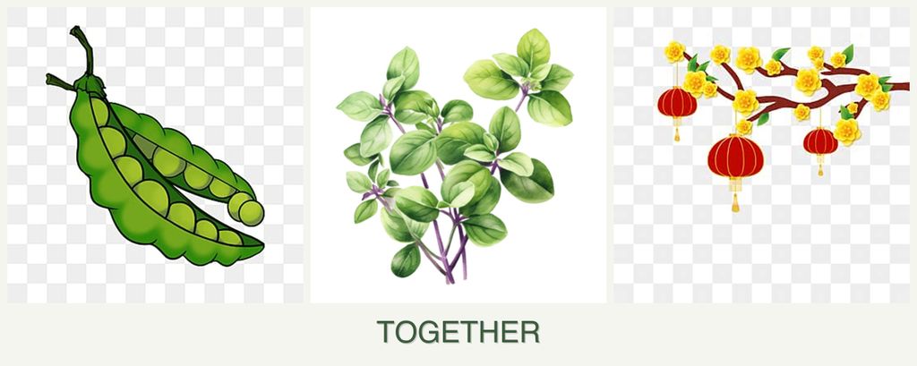 Can you plant peas, oregano and apricots together?