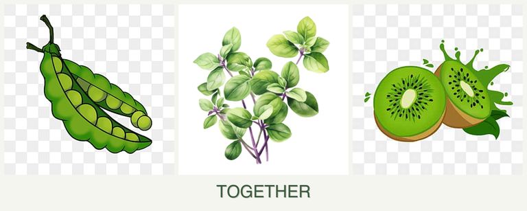 Can you plant peas, oregano and kiwi together?
