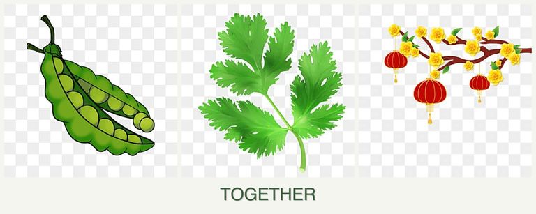 Can you plant peas, parsley and apricots together?