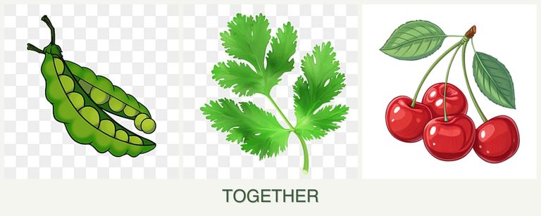 Can you plant peas, parsley and cherries together?