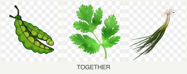 Can you plant peas, parsley and chives together?