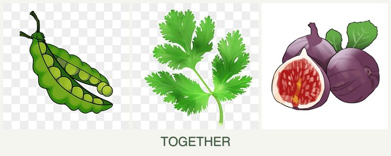 Can you plant peas, parsley and figs together?