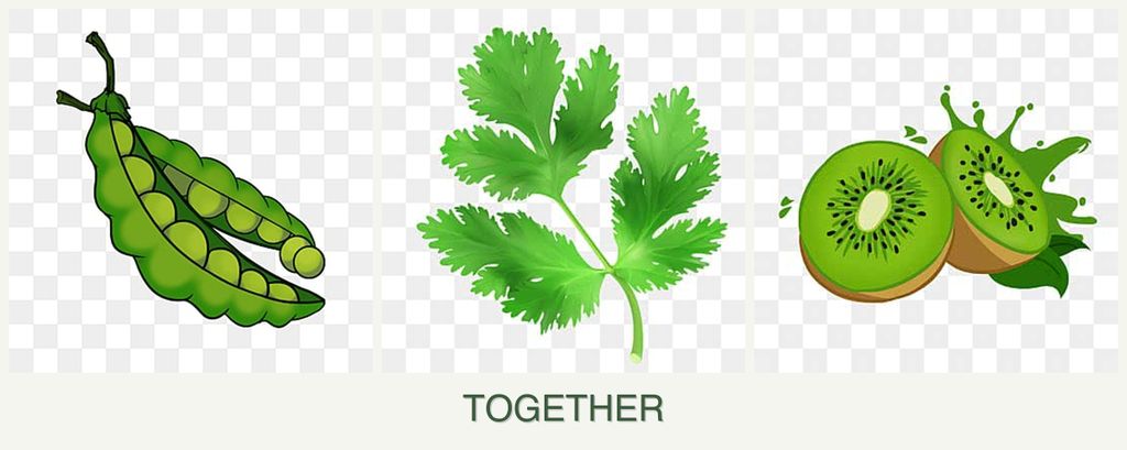 Can you plant peas, parsley and kiwi together?
