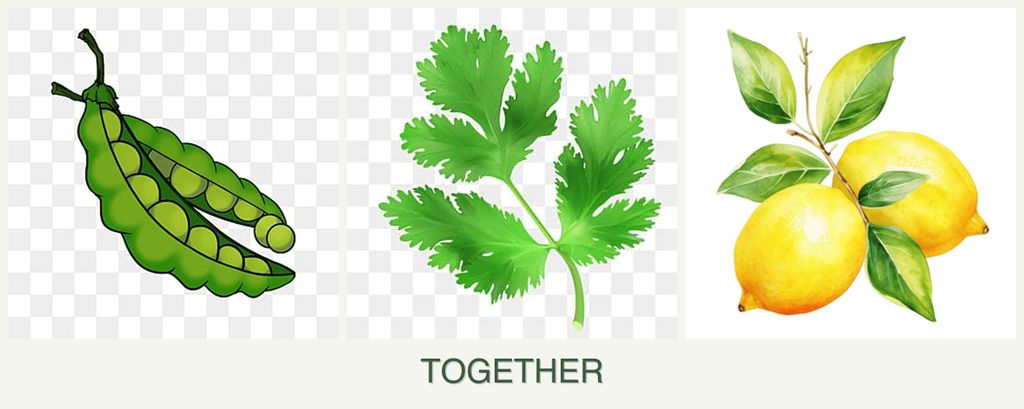Can you plant peas, parsley and lemons together?