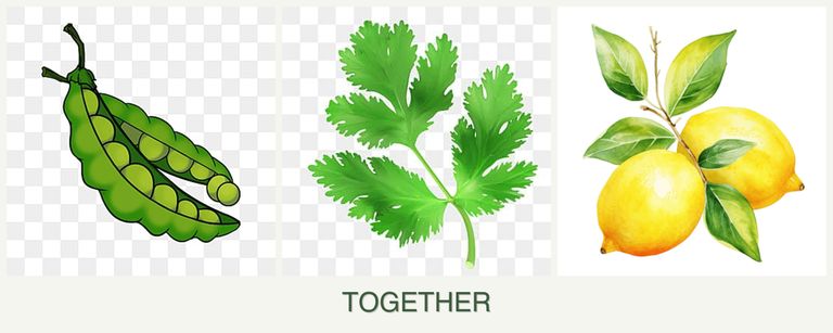 Can you plant peas, parsley and lemons together?