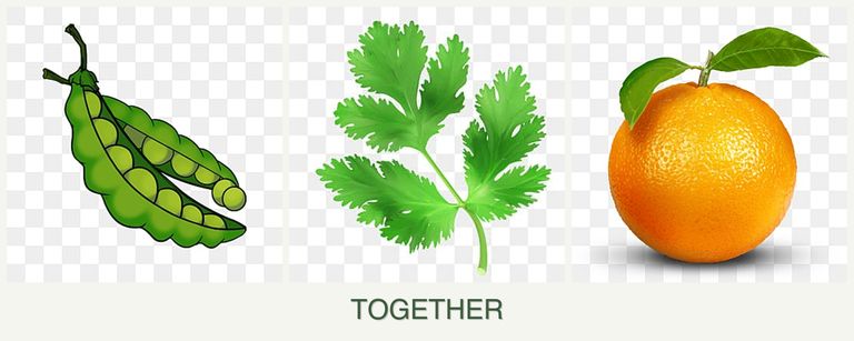 Can you plant peas, parsley and oranges together?
