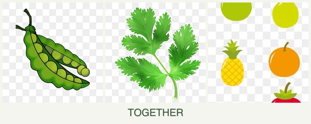 Can you plant peas, parsley and pears together?