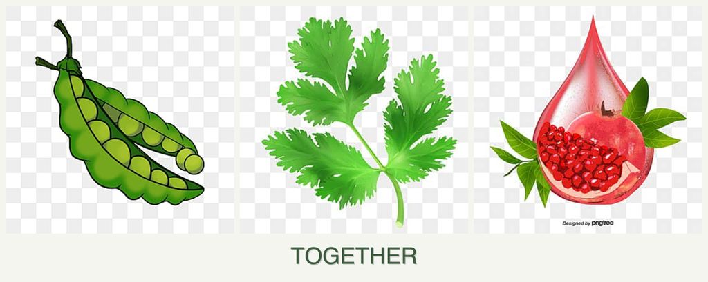 Can you plant peas, parsley and pomegranates together?