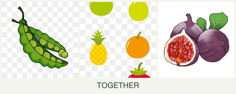 Can you plant peas, pears and figs together?