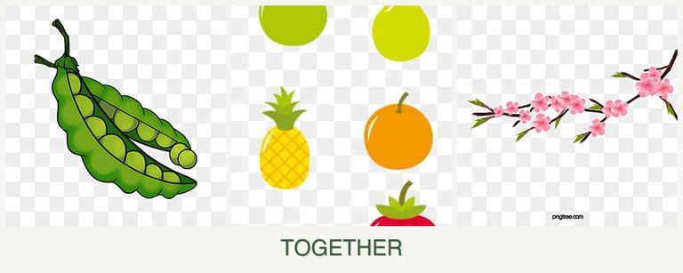 Can you plant peas, pears and peaches together?