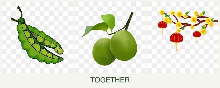Can you plant peas, plums and apricots together?
