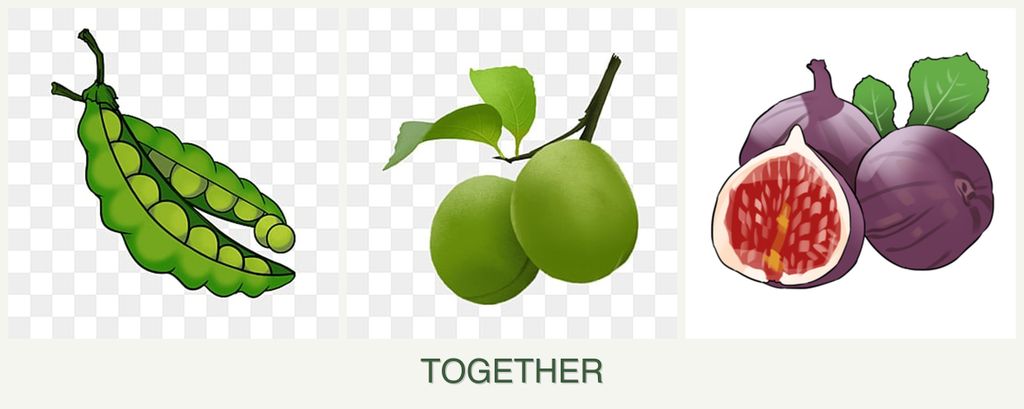 Can you plant peas, plums and figs together?
