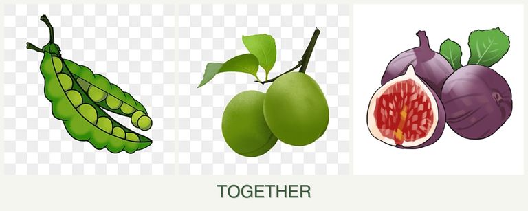 Can you plant peas, plums and figs together?