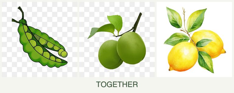 Can you plant peas, plums and lemons together?