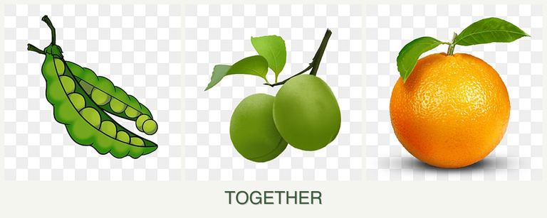 Can you plant peas, plums and oranges together?