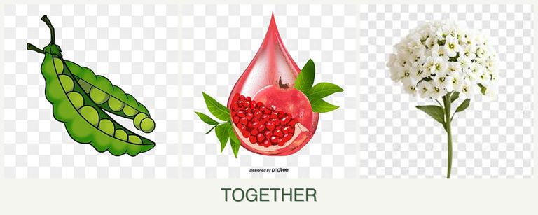 Can you plant peas, pomegranates and alyssum together?