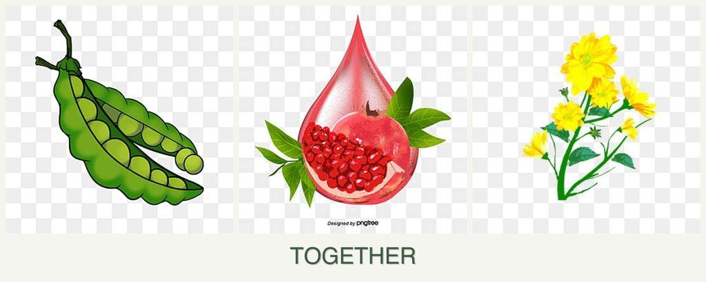 Can you plant peas, pomegranates and calendula together?