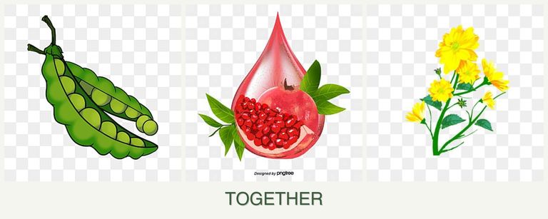 Can you plant peas, pomegranates and calendula together?