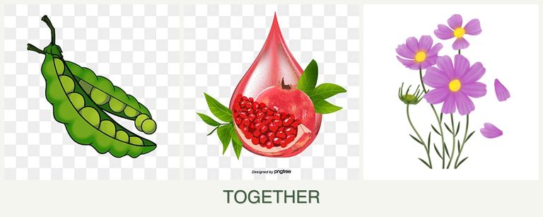 Can you plant peas, pomegranates and cosmos together?