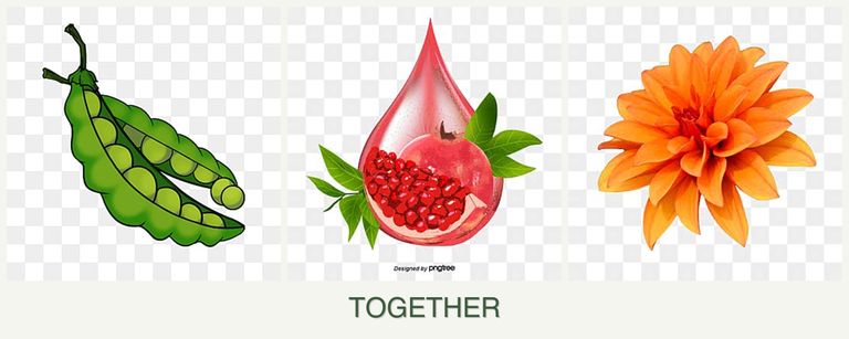 Can you plant peas, pomegranates and dahlias together?