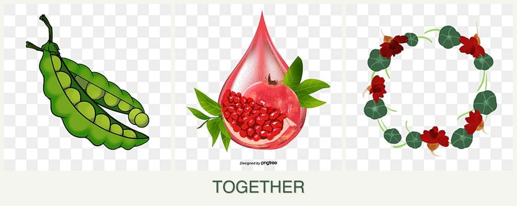 Can you plant peas, pomegranates and nasturtiums together?