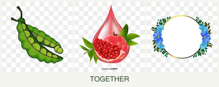 Can you plant peas, pomegranates and zinnias together?