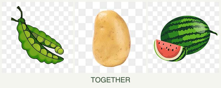 Can you plant peas, potatoes and melons together?