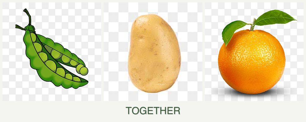 Can you plant peas, potatoes and oranges together?