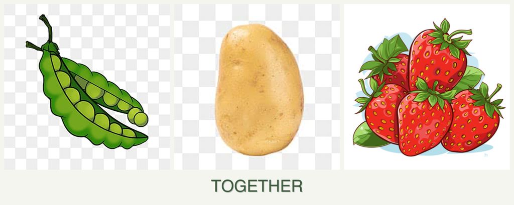 Can you plant peas, potatoes and strawberries together?