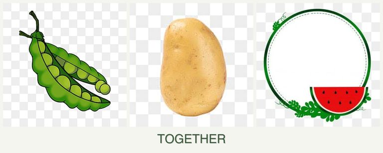 Can you plant peas, potatoes and watermelons together?