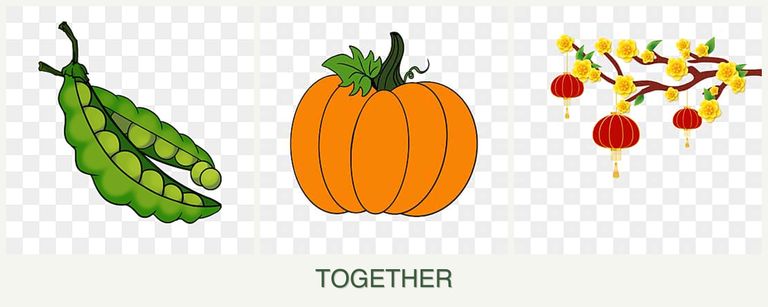 Can you plant peas, pumpkin and apricots together?