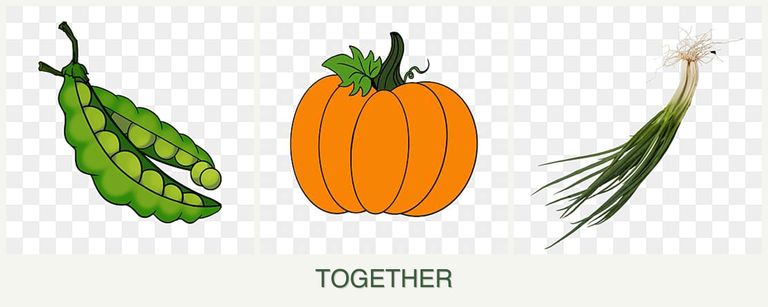 Can you plant peas, pumpkin and chives together?