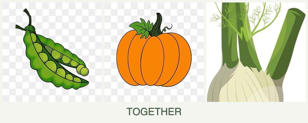 Can you plant peas, pumpkin and fennel together?